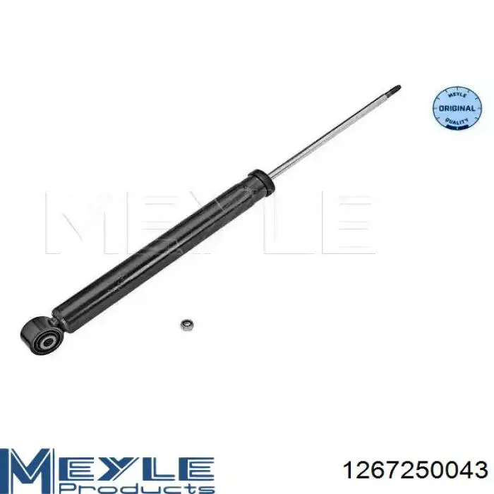 Купити RS313366 Raiso Стійка амортизатора задня