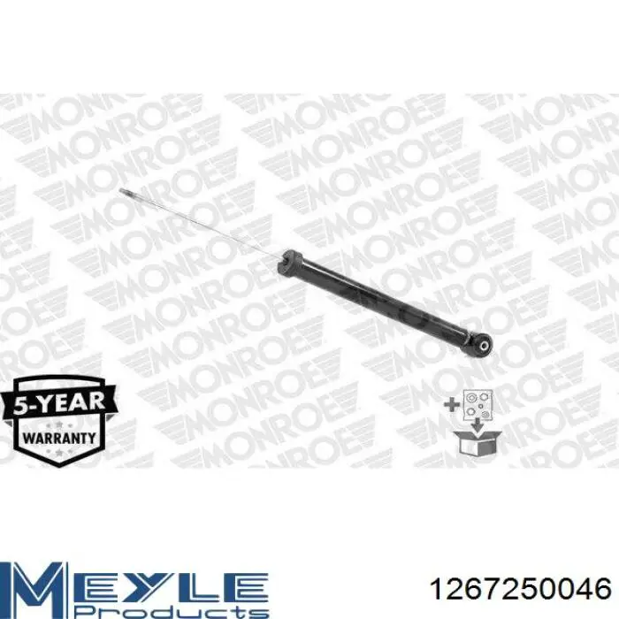 RS556273 Raiso Амортизатори задні