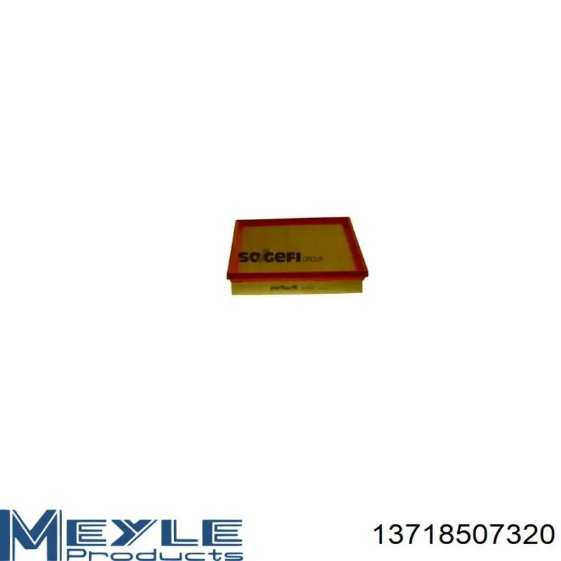 Повітряний фільтр SX20773NB Shafer