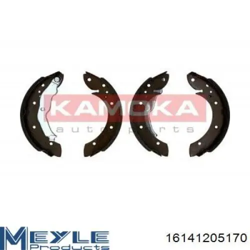 Маточина заднього колеса Renault (RVI) 8660001821