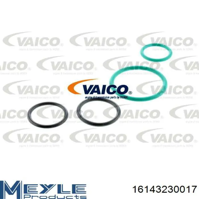 Паливний фільтр 164004042R Renault (RVI)