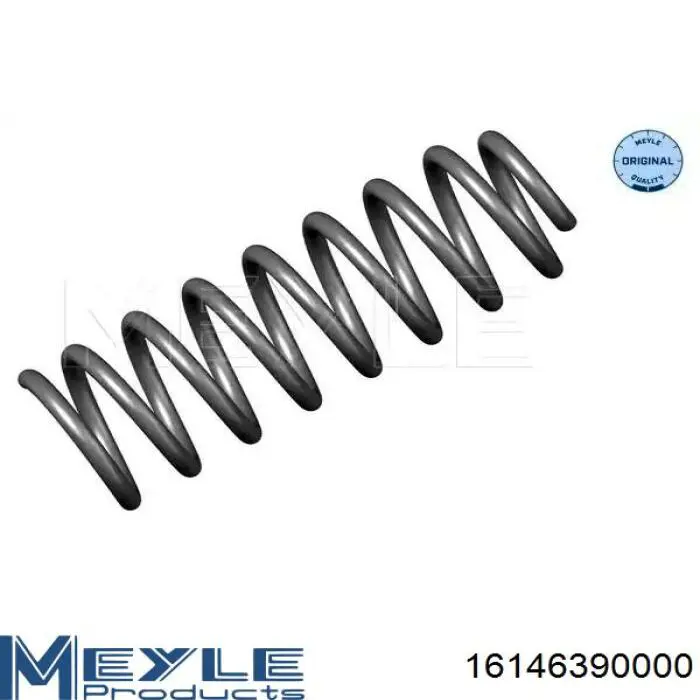 Купити 6001549185 Renault (RVI) Гвинтова пружина підвіска