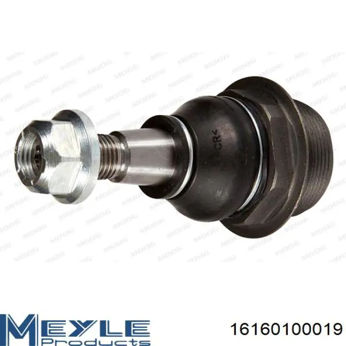 RD993535262 Rider Кульова опора, нижня, ліва