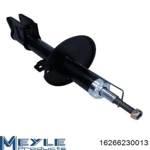Амортизатор передній 8660005896 Renault (RVI)