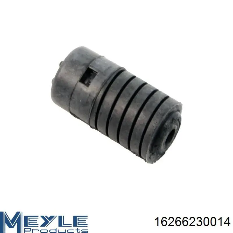 Амортизатор передній 543020002R Renault (RVI)