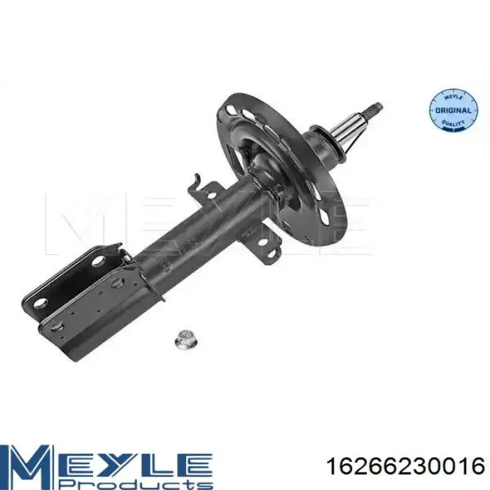 Амортизатор передній RS315296 Raiso
