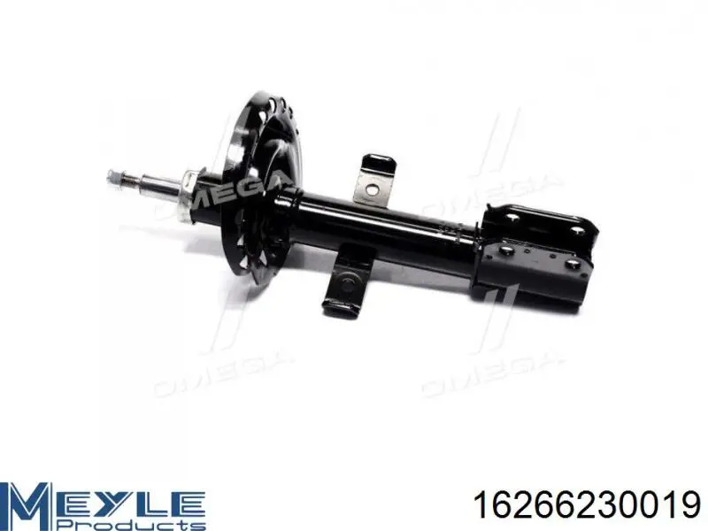 Амортизатор передній RS317423 Raiso