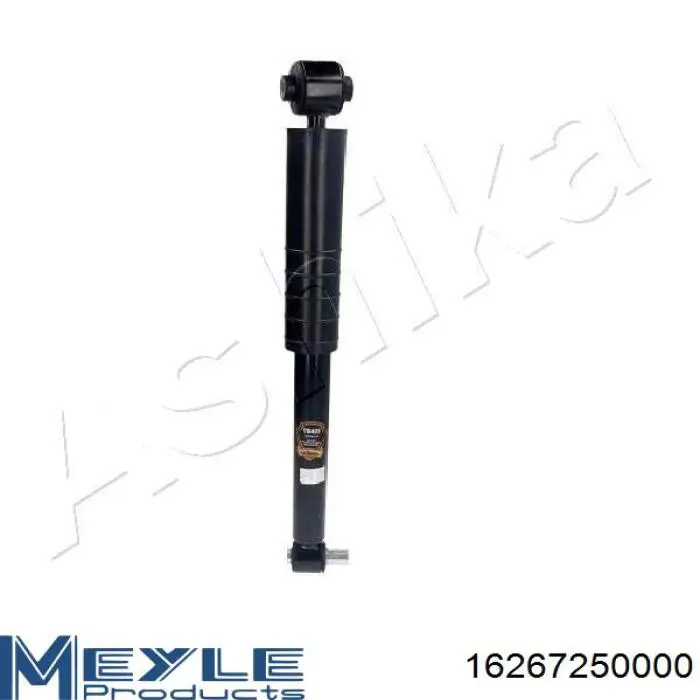 Амортизатор задній Raiso RS290739 ціна, від 29.59 USD
