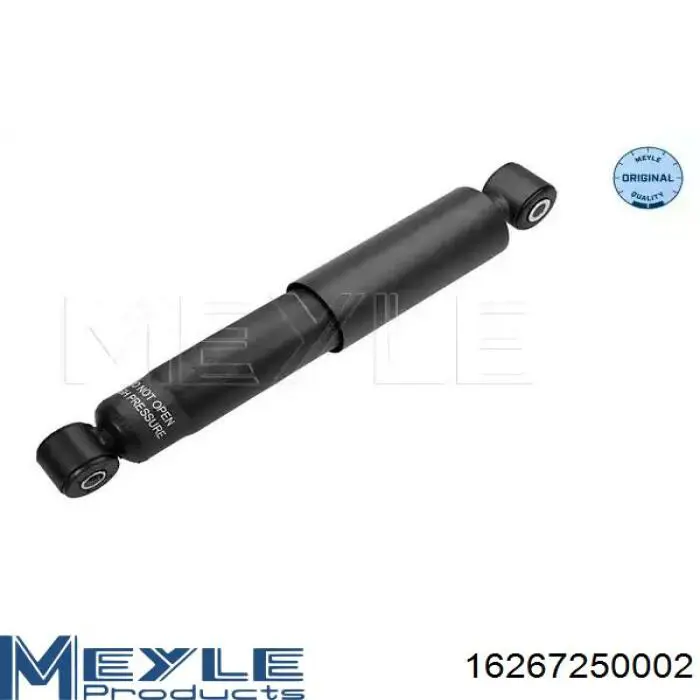 Амортизатор задній RS230611 Raiso