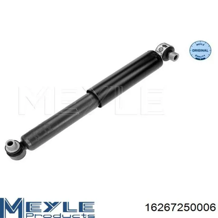 Купити RS315747 Raiso Стійка амортизатора задня