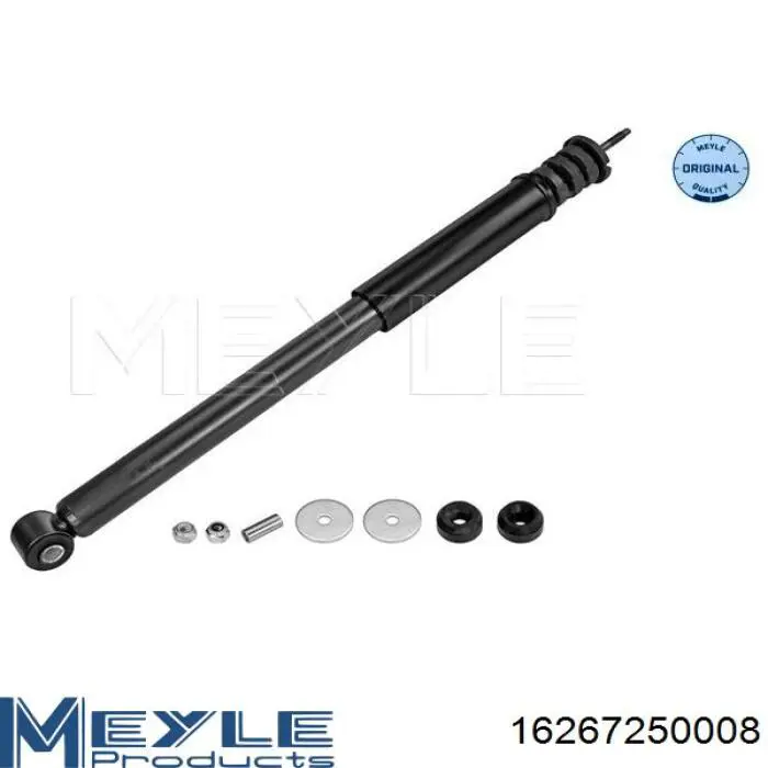 Амортизатор задній Raiso RS315530 ціна, від 23.81 USD