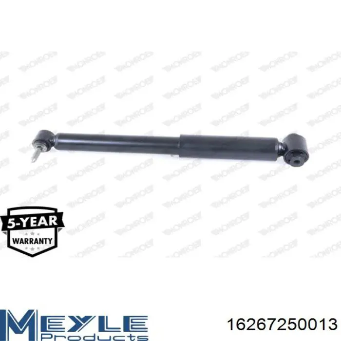 Купити RS310058 Raiso Стійка амортизатора задня
