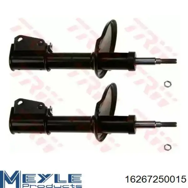 Купити 562100762R Renault (RVI) Стійка амортизатора задня
