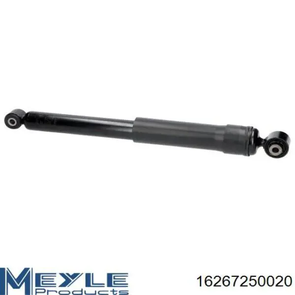 Амортизатор задній Raiso RS317421 ціна, від 26.07 USD