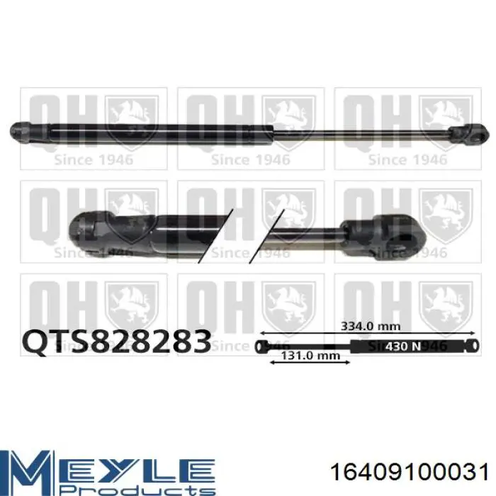 Купити 844300004R Renault (RVI) Амортизатор двері багажника