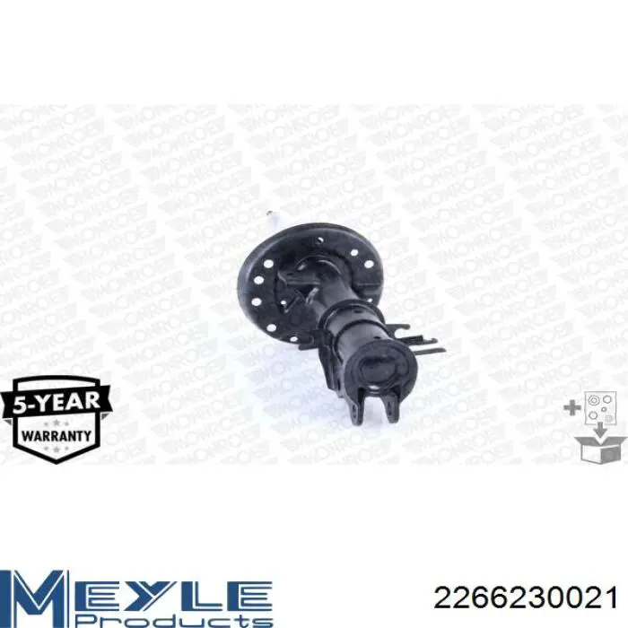 Амортизатор передньої підвіски, лівий Raiso RS315372 ціна, від 38.85 USD