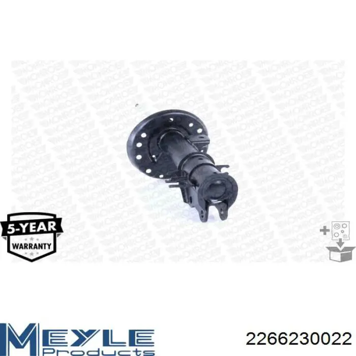 Амортизатор передній, правий Raiso RS315373 ціна, від 39.19 USD