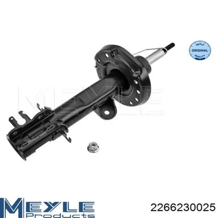 Купити 51936076 Fiat/Alfa/Lancia Амортизатора передній лівий