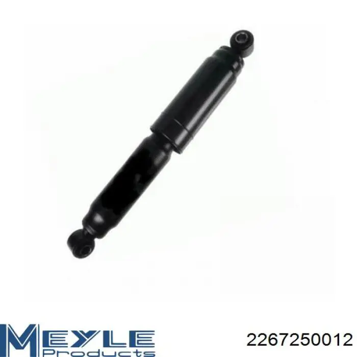 Амортизатор задній Raiso RS314713 ціна, від 23.77 USD