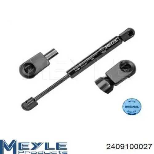 Амортизатор скла задніх, 3/5-ї двері (ляди) Magneti Marelli 430719039800 ціна, від 4.86 USD
