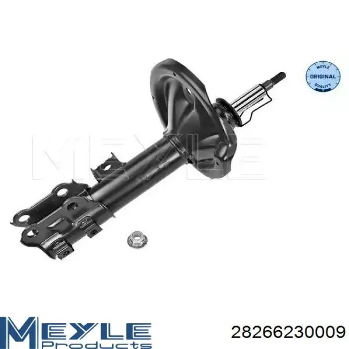 RS313550 Raiso Амортизатор передньої підвіски