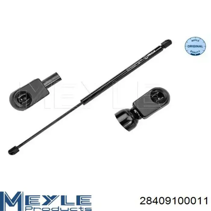 Амортизатор двері задньої Starline 7834800 ціна, від 6.33 USD