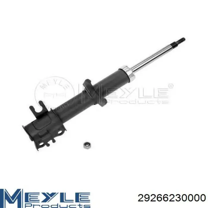 Амортизатор передній, правий Raiso RS314215 ціна, від 29.30 USD