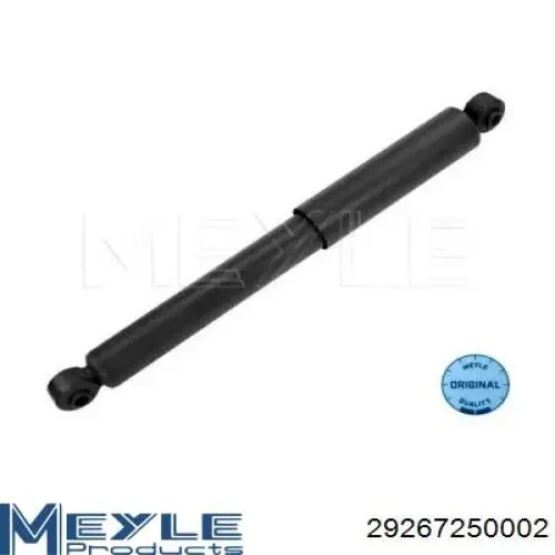 Купити RS315092 Raiso Стійка амортизатора задня