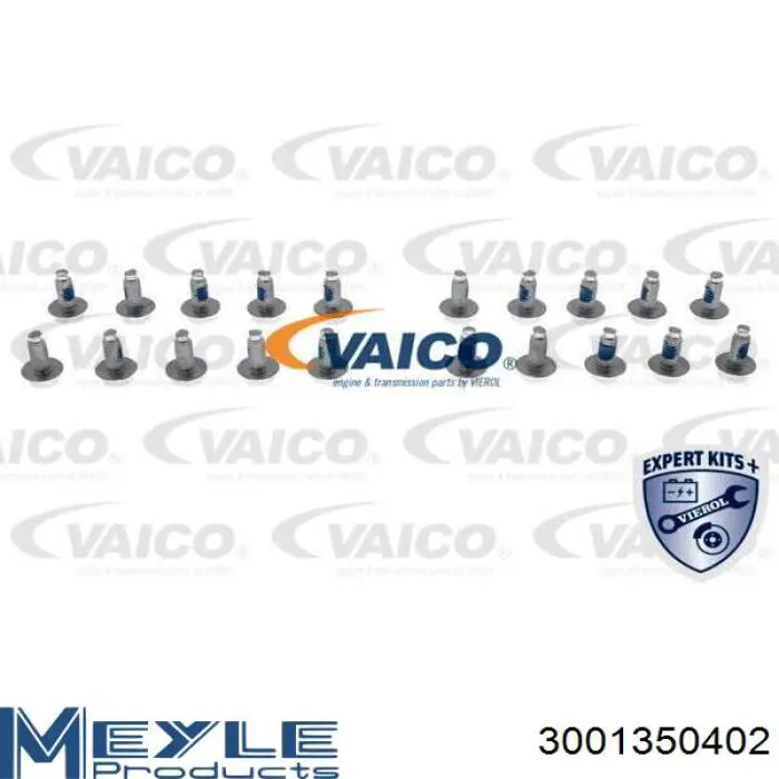 Сервісний комплект для заміни масла АКПП 3001350402 Meyle