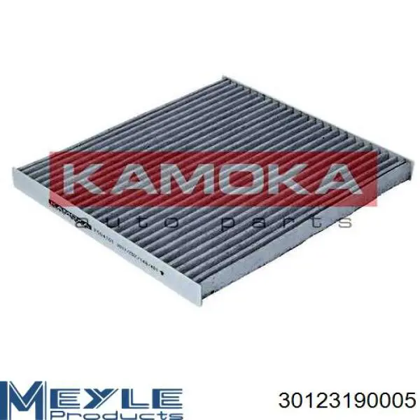 Купити IPCA801 Interparts Фільтр салону вугільний