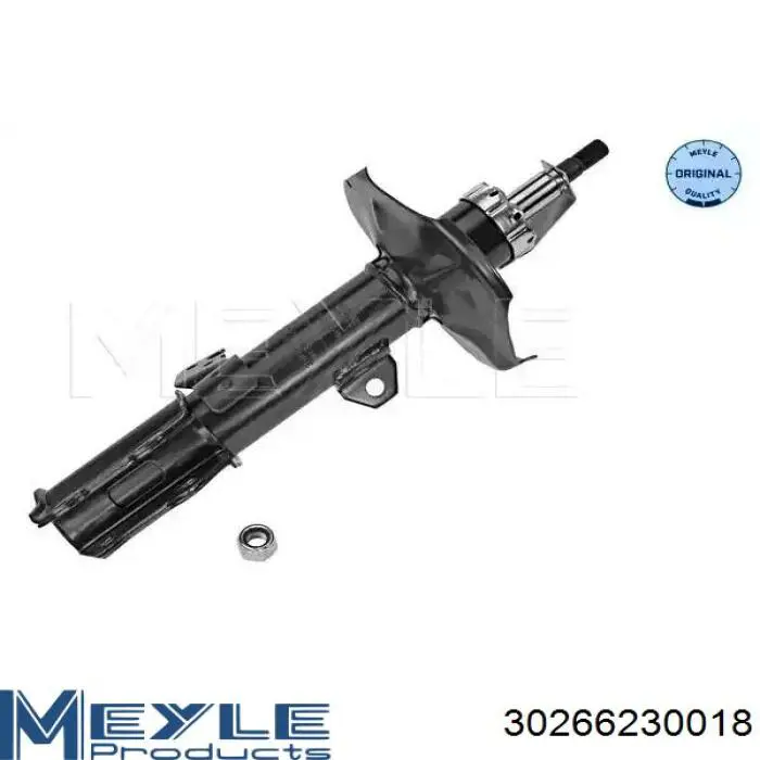 Амортизатор передньої підвіски, лівий Raiso RS317121 ціна, від 35.62 USD