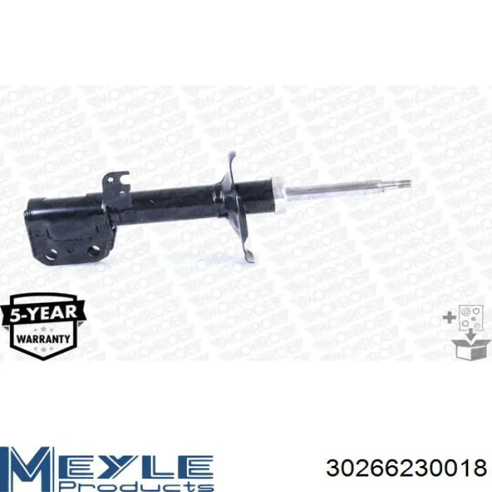 Амортизатора передній лівий RS317121 Raiso