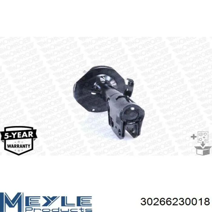 Купити RS317121 Raiso Амортизатора передній лівий