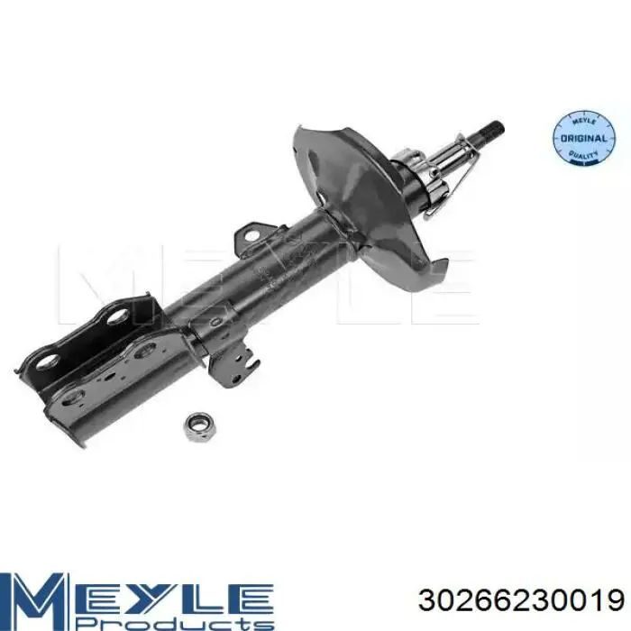 Амортизатор передній, правий Raiso RS317122 ціна, від 35.98 USD