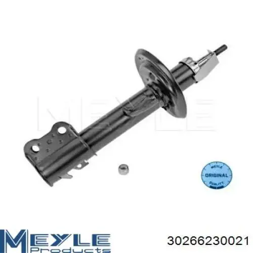 Амортизатор передній, правий Raiso RS314758 ціна, від 34.41 USD