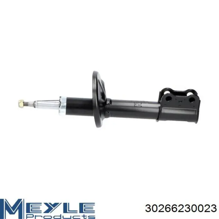 Купити RS312806 Raiso Амортизатор передній, правий