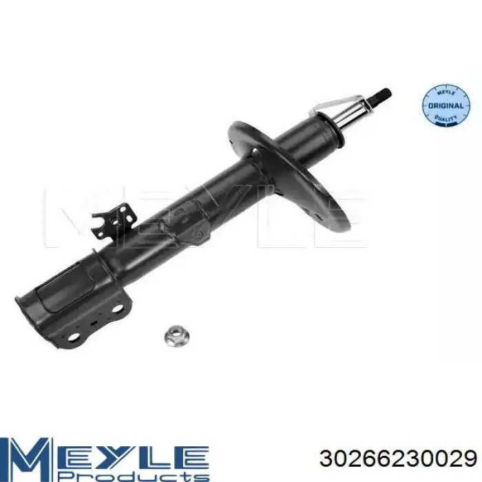 Купити RS313808 Raiso Амортизатор передній, правий