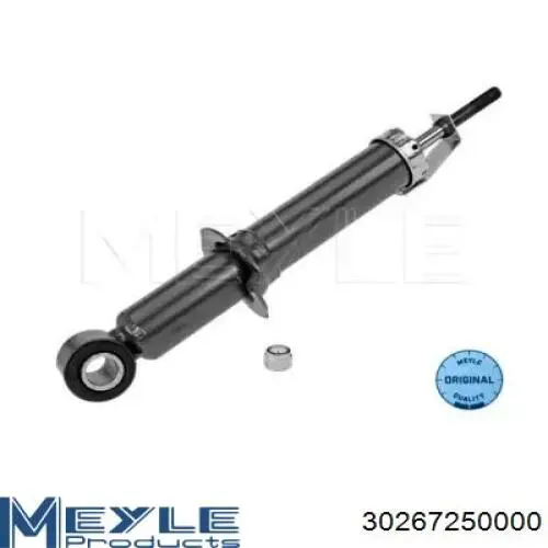 Амортизатор задній, правий Raiso RS311915 ціна, від 29.74 USD