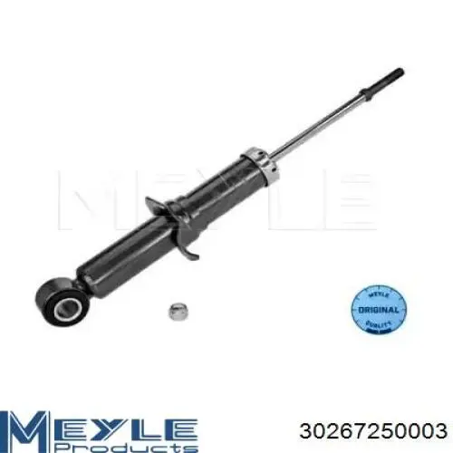 Купити RS311922 Raiso Стійка амортизатора задня