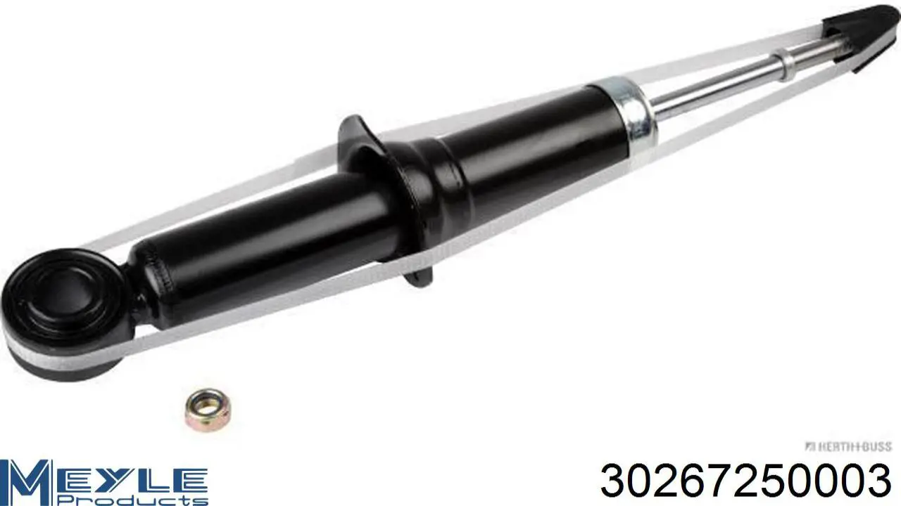 Амортизатор задній RS311922 Raiso