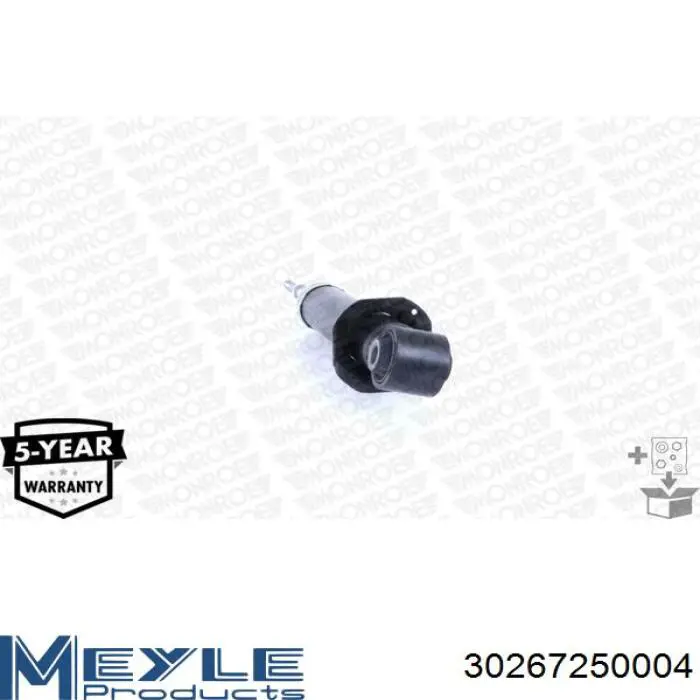 Амортизатор задній RS315960 Raiso