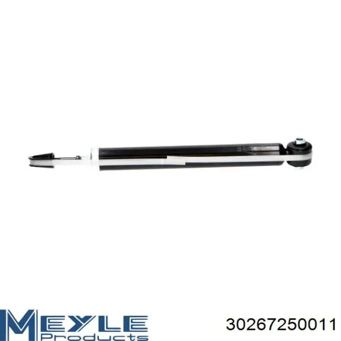 Амортизатор задній, правий Raiso RS318508 ціна, від 22.13 USD