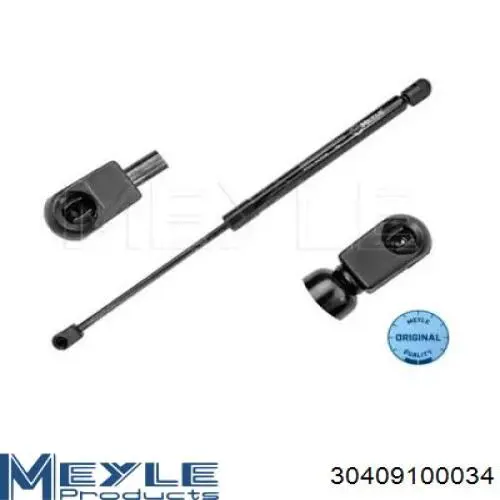 Амортизатор багажника GS0842 Magneti Marelli