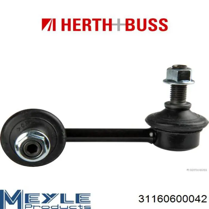 RL523210H Raiso Стійка стабілізатора задня