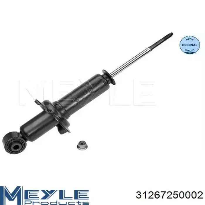 Купити RS317138 Raiso Стійка амортизатора задня