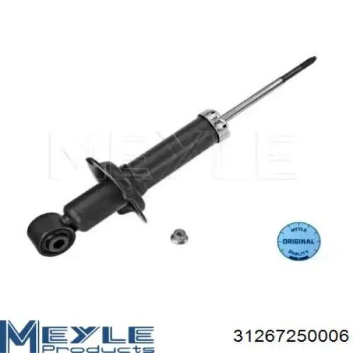 Купити RS316880 Raiso Стійка амортизатора задня