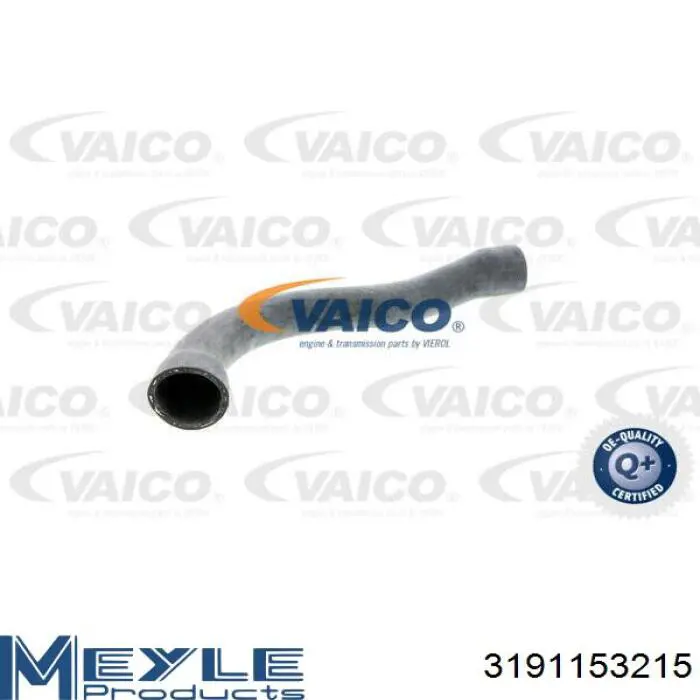 Шланг/патрубок радіатора охолодження, верхній BMW 11531741408