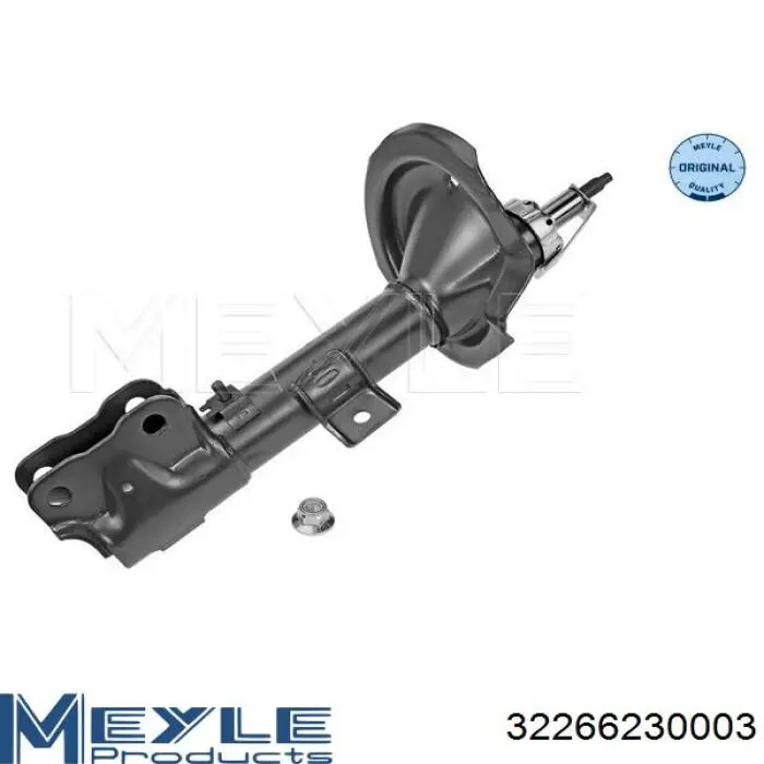 Амортизатора передній лівий RS316994 Raiso
