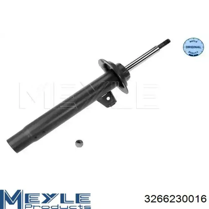 RS317548 Raiso Амортизатор передньої підвіски