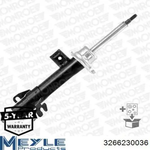 Амортизатора передній лівий RS290237 Raiso